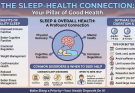 Sleep and Health Connection: Why Quality Sleep is Essential